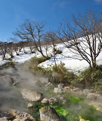 Similar image 21752868