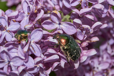 Similar image 21747416