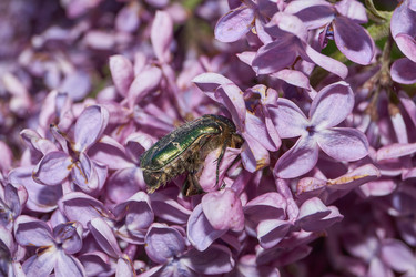 Similar image 21747417