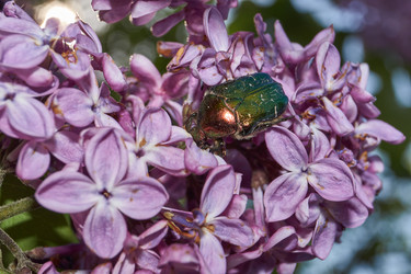 Similar image 21747418