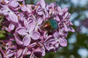 Similar image 21747419