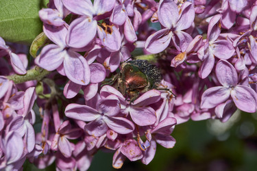 Similar image 21747420