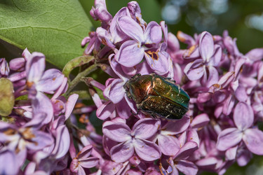 Similar image 21747422