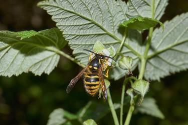 Similar image 21747423