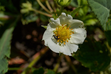 Similar image 21747424