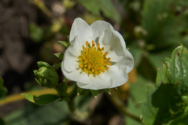 Similar image 21747425