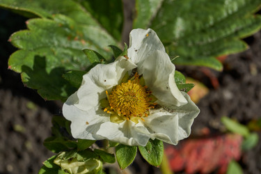 Similar image 21747426