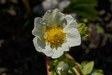 Similar image 21747427