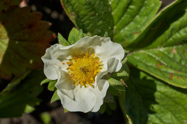 Similar image 21747428