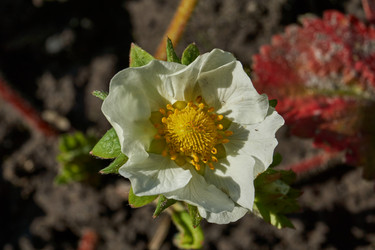 Similar image 21747429