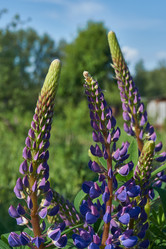 Similar image 21747430