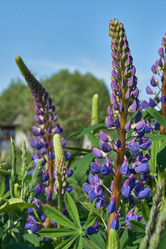 Similar image 21747432