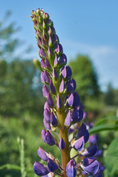 Similar image 21747433