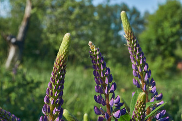 Similar image 21747435