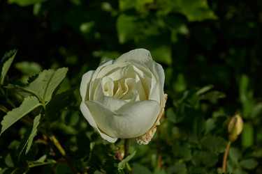 Similar image 21747444