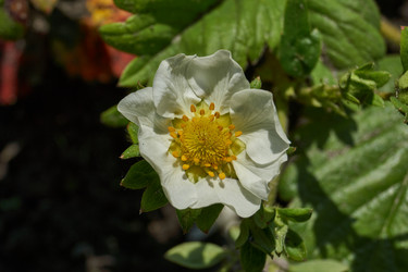 Similar image 21747445