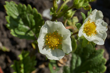 Similar image 21747446