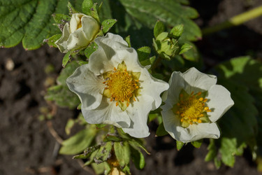 Similar image 21747448