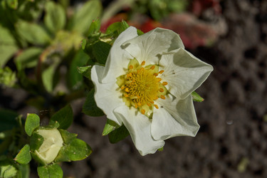 Similar image 21747449