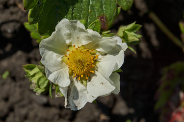 Similar image 21747450