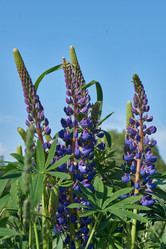 Similar image 21747451