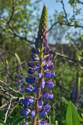 Similar image 21747453