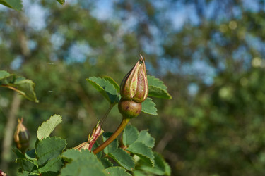 Similar image 21747461