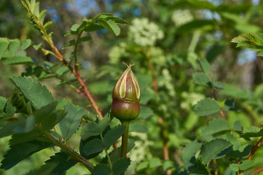 Similar image 21747462