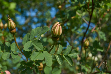 Similar image 21747463