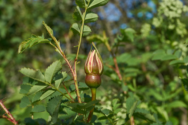 Similar image 21747464