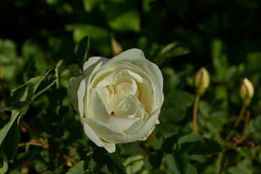 Similar image 21747465