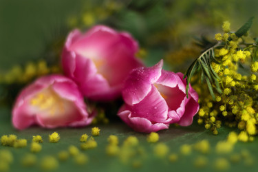 Similar image 21747270