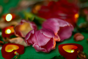 Similar image 21747271