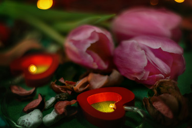 Similar image 21747278