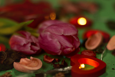 Similar image 21747286