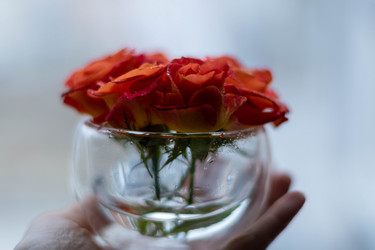 Similar image 21747287