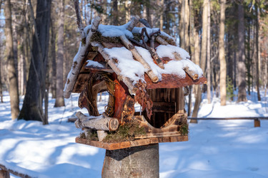 Similar image 21748703