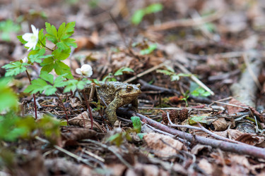 Similar image 21748708