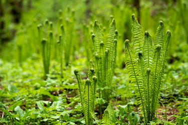 Similar image 21748710