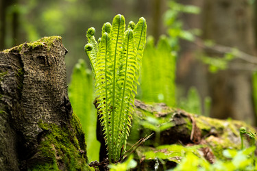 Similar image 21748712