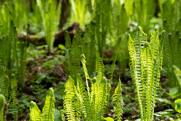 Similar image 21749281