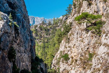 Similar image 21749285