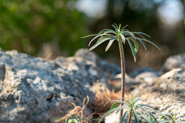 Similar image 21749288