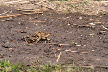 Similar image 21749300