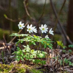 Similar image 21754232