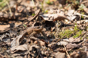 Similar image 21754447