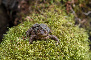 Similar image 21754645