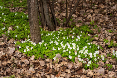 Similar image 21754653