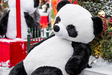 Similar image 21763480