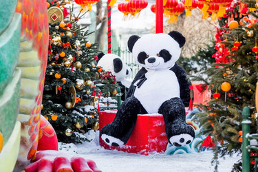 Similar image 21763483